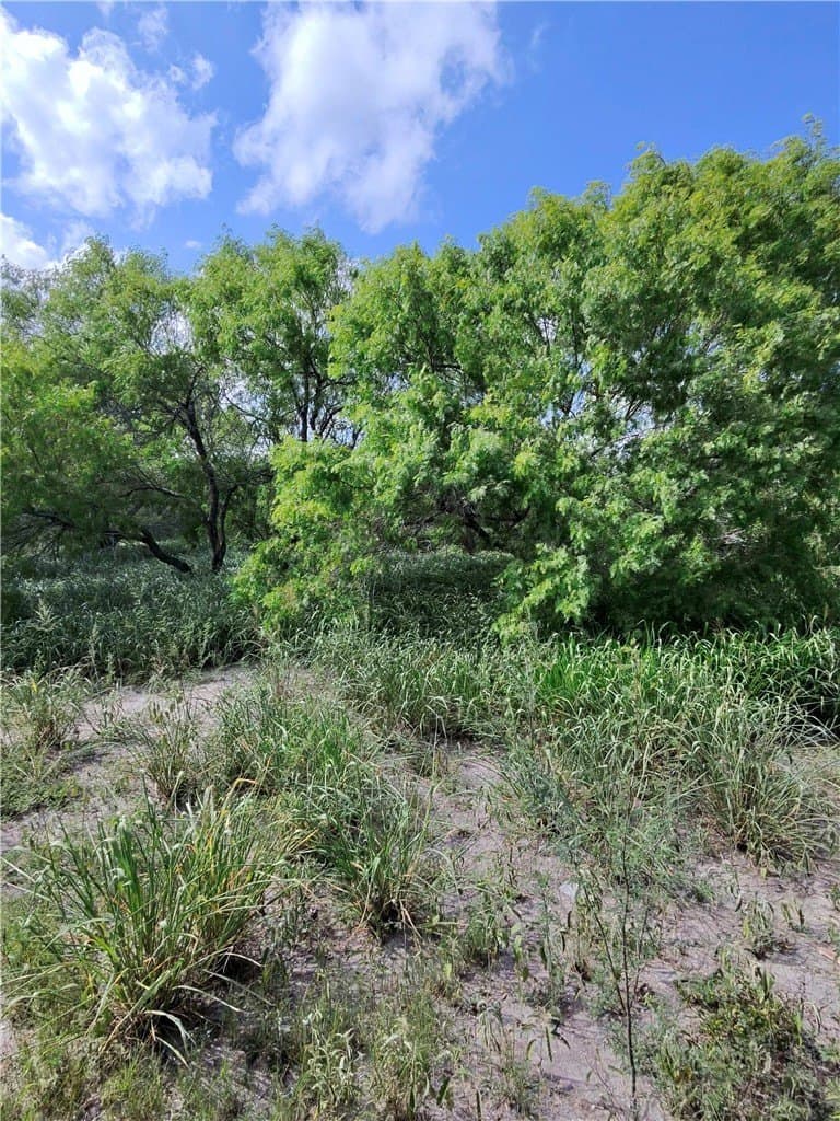 4.55 acres in San Patricio County - photo 9