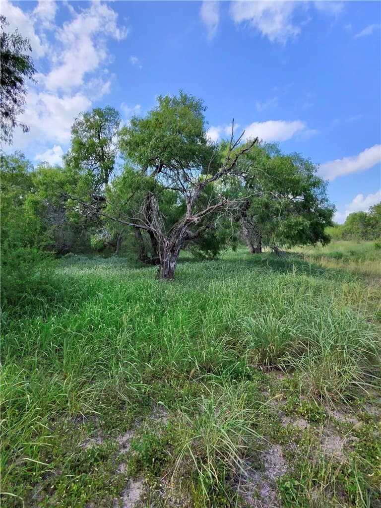 4.55 acres in San Patricio County - photo 11