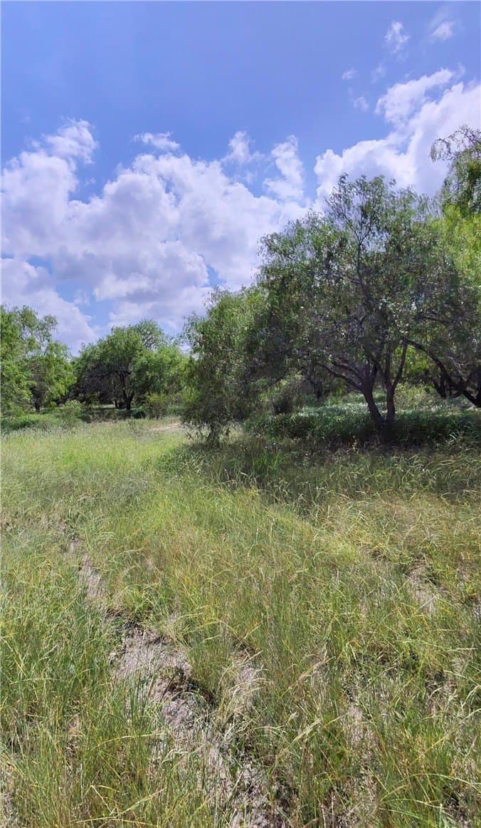 4.55 acres in San Patricio County gallery image 3