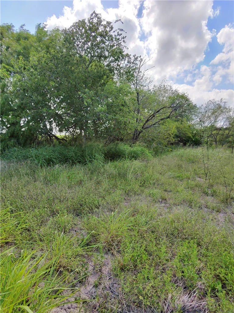 4.55 acres in San Patricio County - photo 10