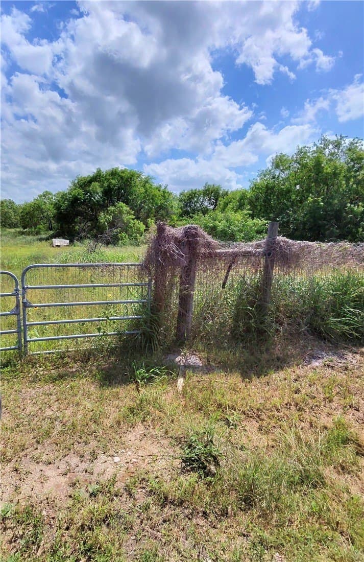 4.55 acres in San Patricio County gallery image 2