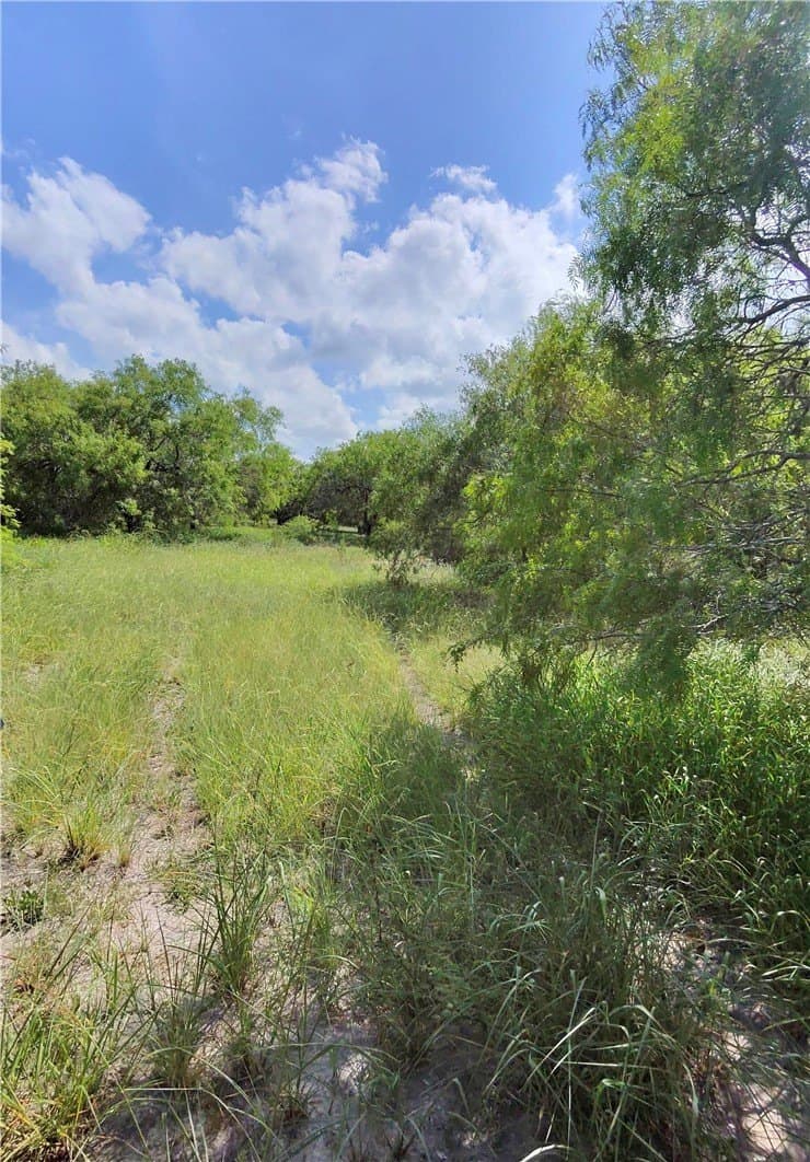 4.55 acres in San Patricio County gallery image 4