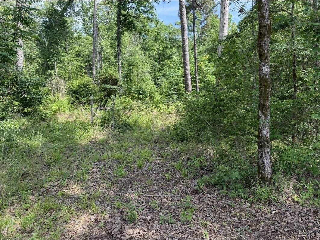 24.54 acres in Cherokee County gallery image 2