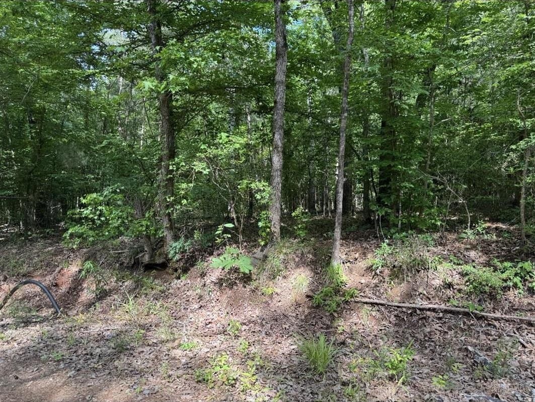 24.54 acres in Cherokee County gallery image 4