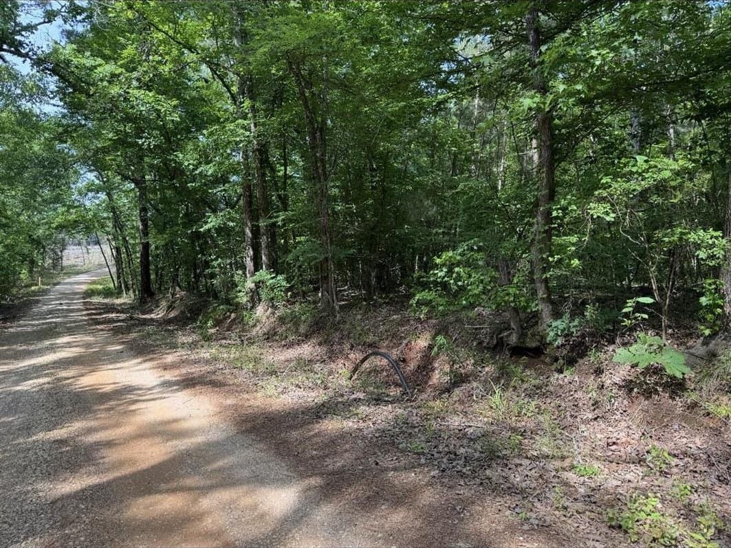 24.54 acres in Cherokee County gallery image 3