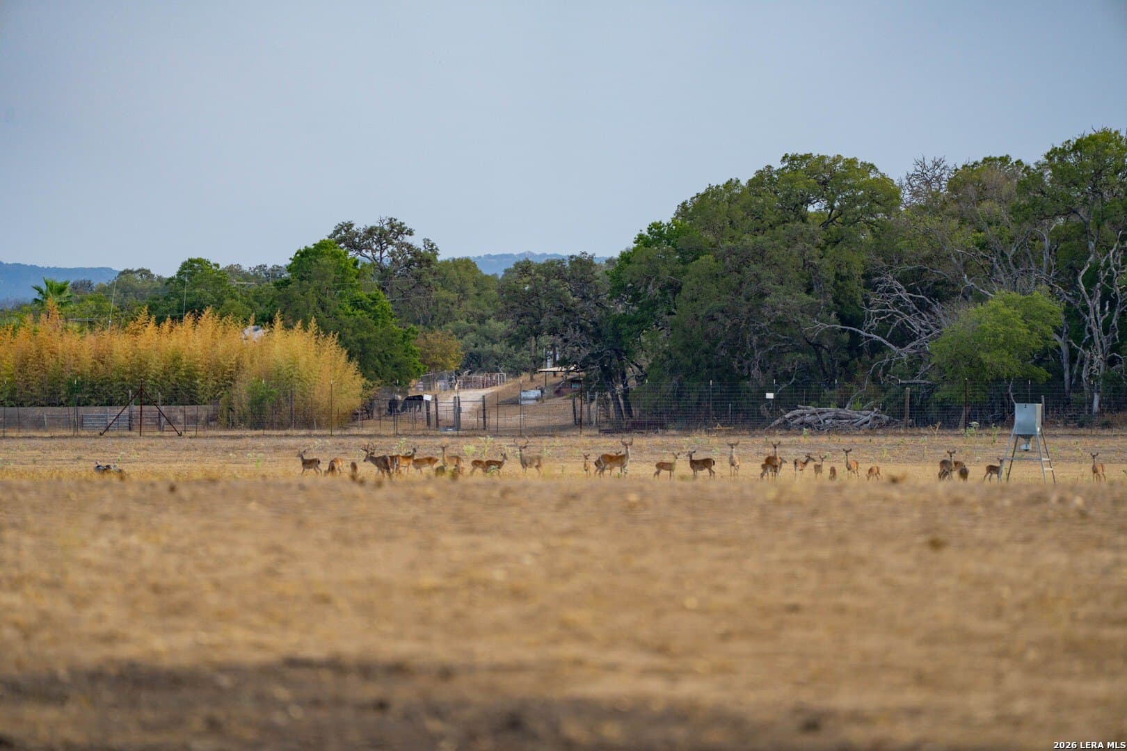 202 acres in Kendall County - photo 7