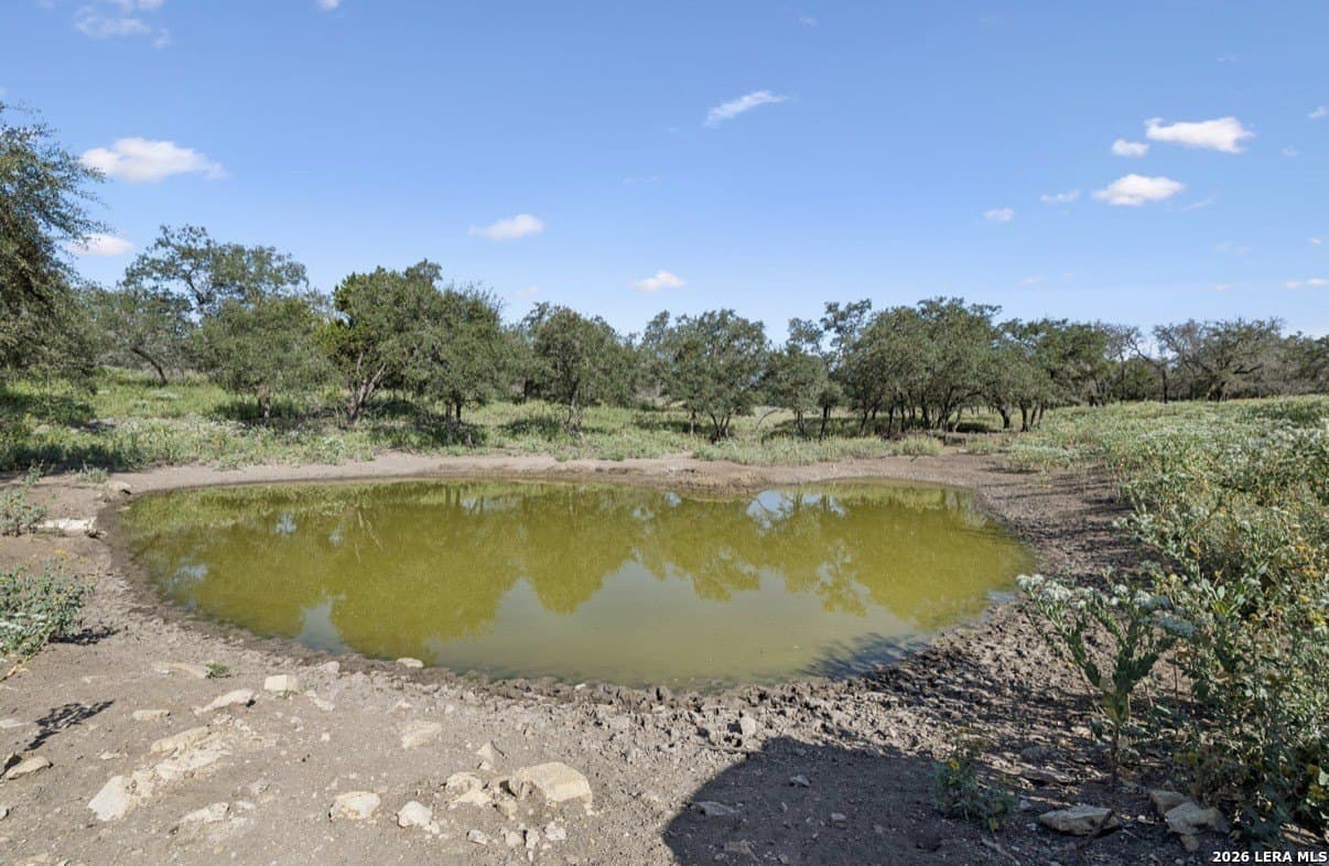 202 acres in Kendall County - photo 13