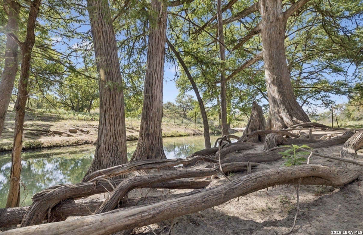 202 acres in Kendall County - photo 23