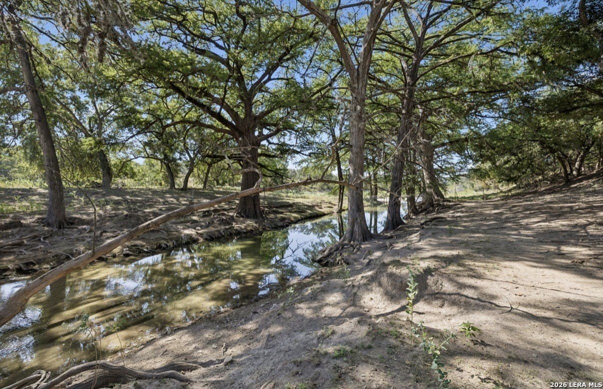202 acres in Kendall County - photo 24