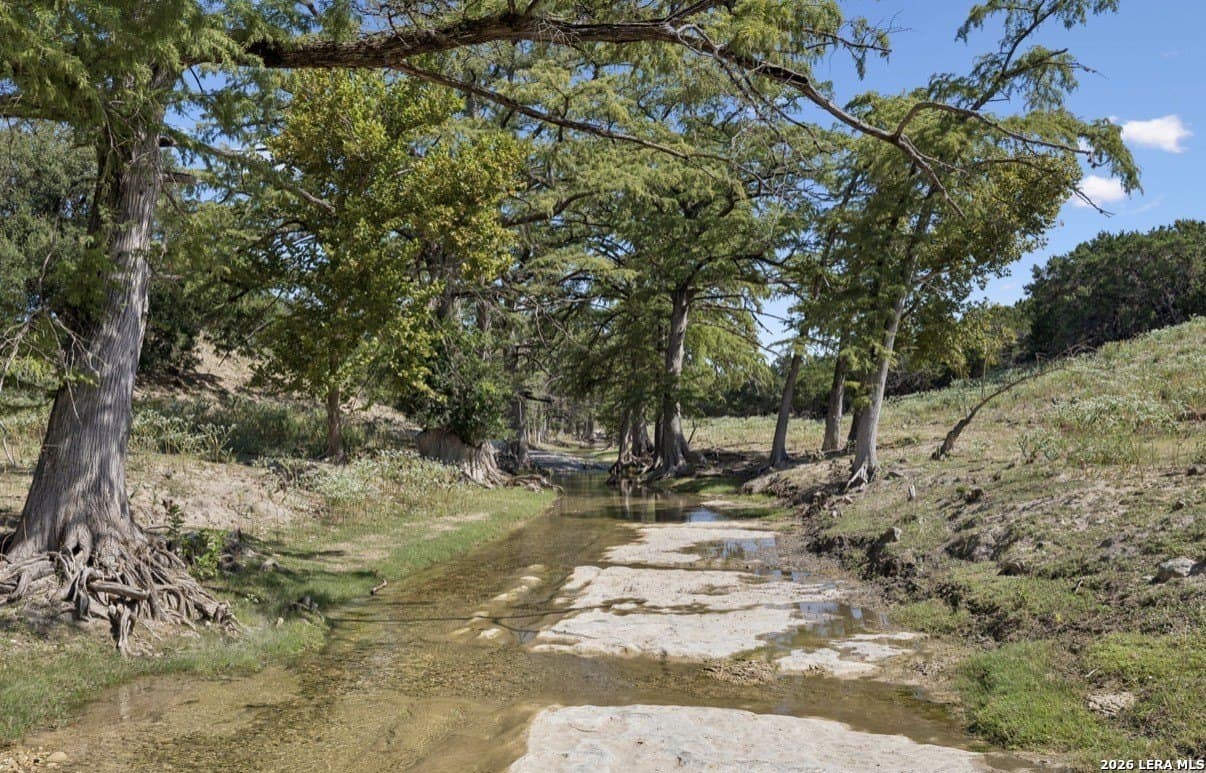 202 acres in Kendall County - photo 10