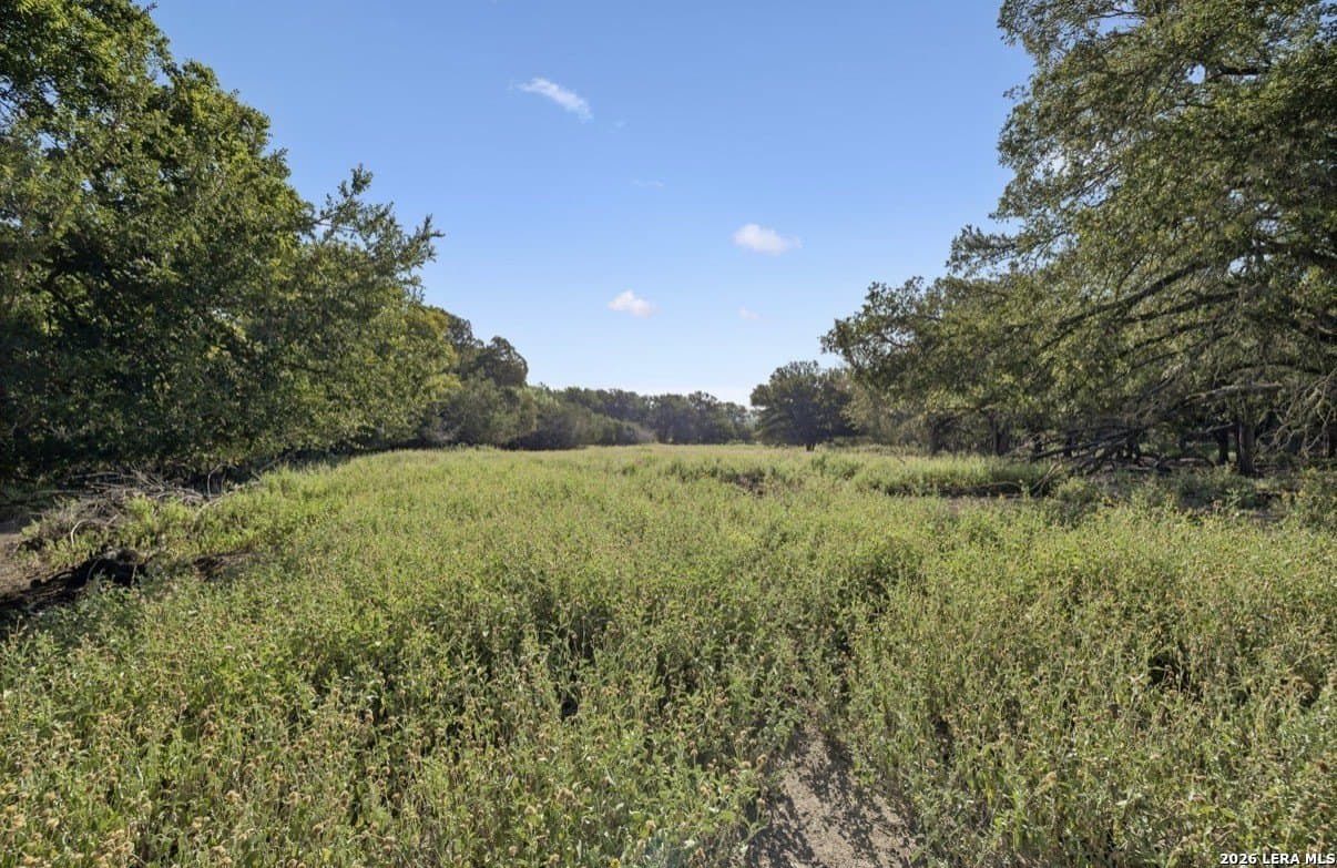 202 acres in Kendall County - photo 9