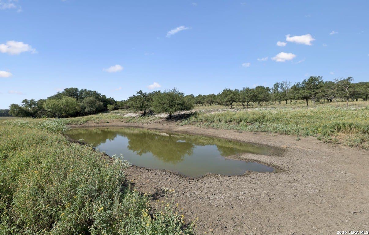202 acres in Kendall County - photo 11