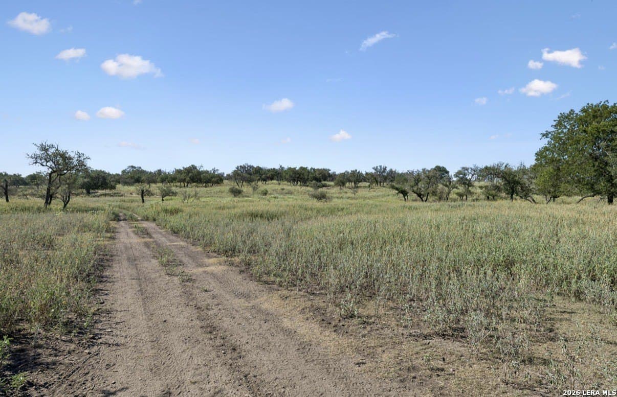 202 acres in Kendall County - photo 32