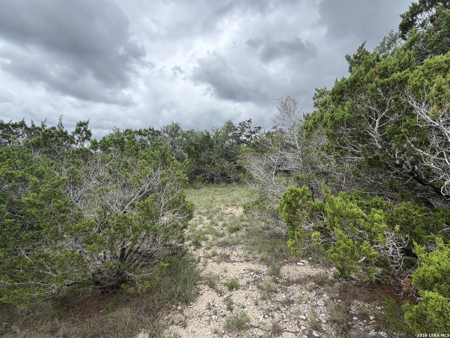 0.21 acres in Blanco County gallery image 4