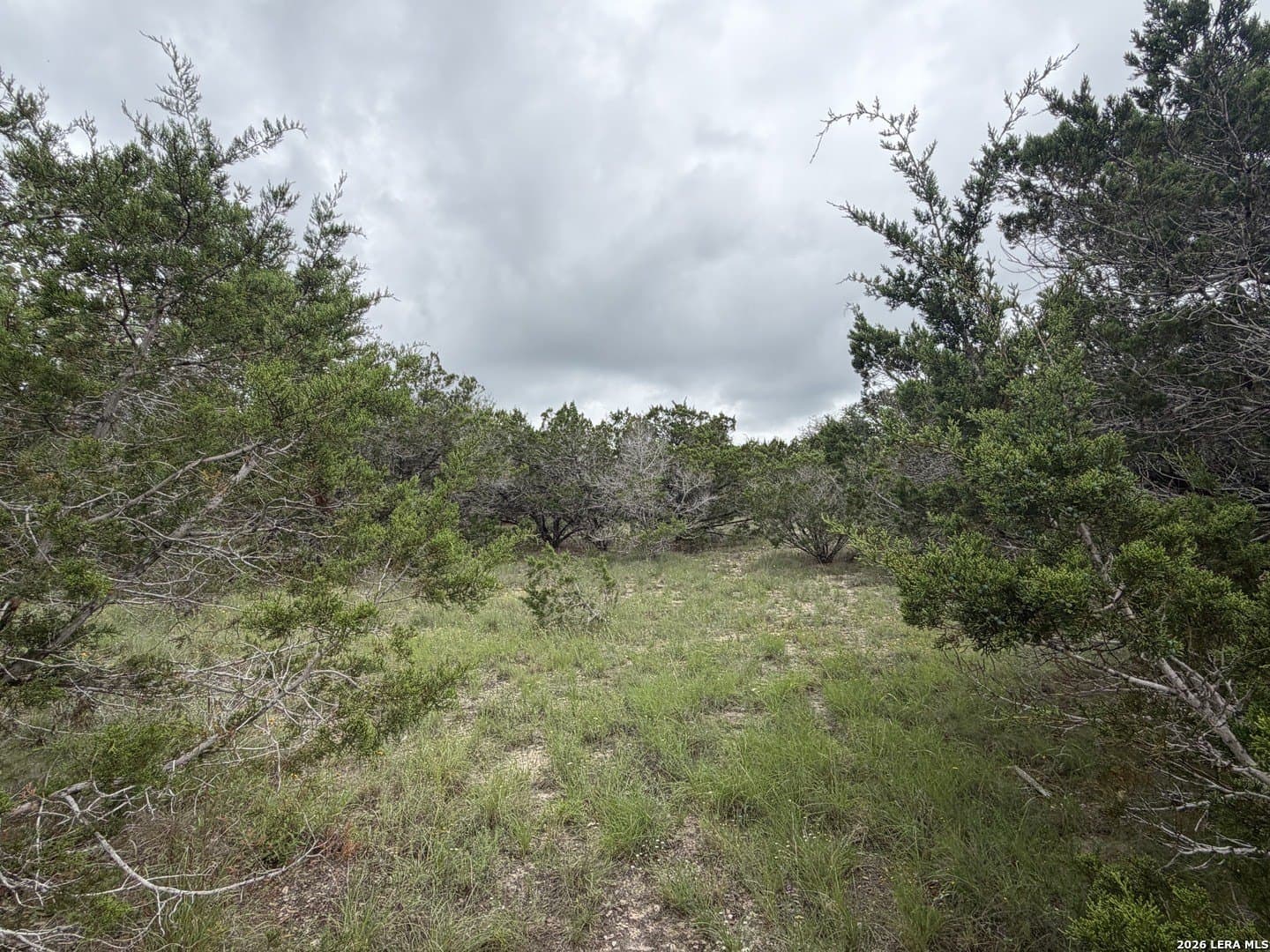 0.21 acres in Blanco County gallery image 2