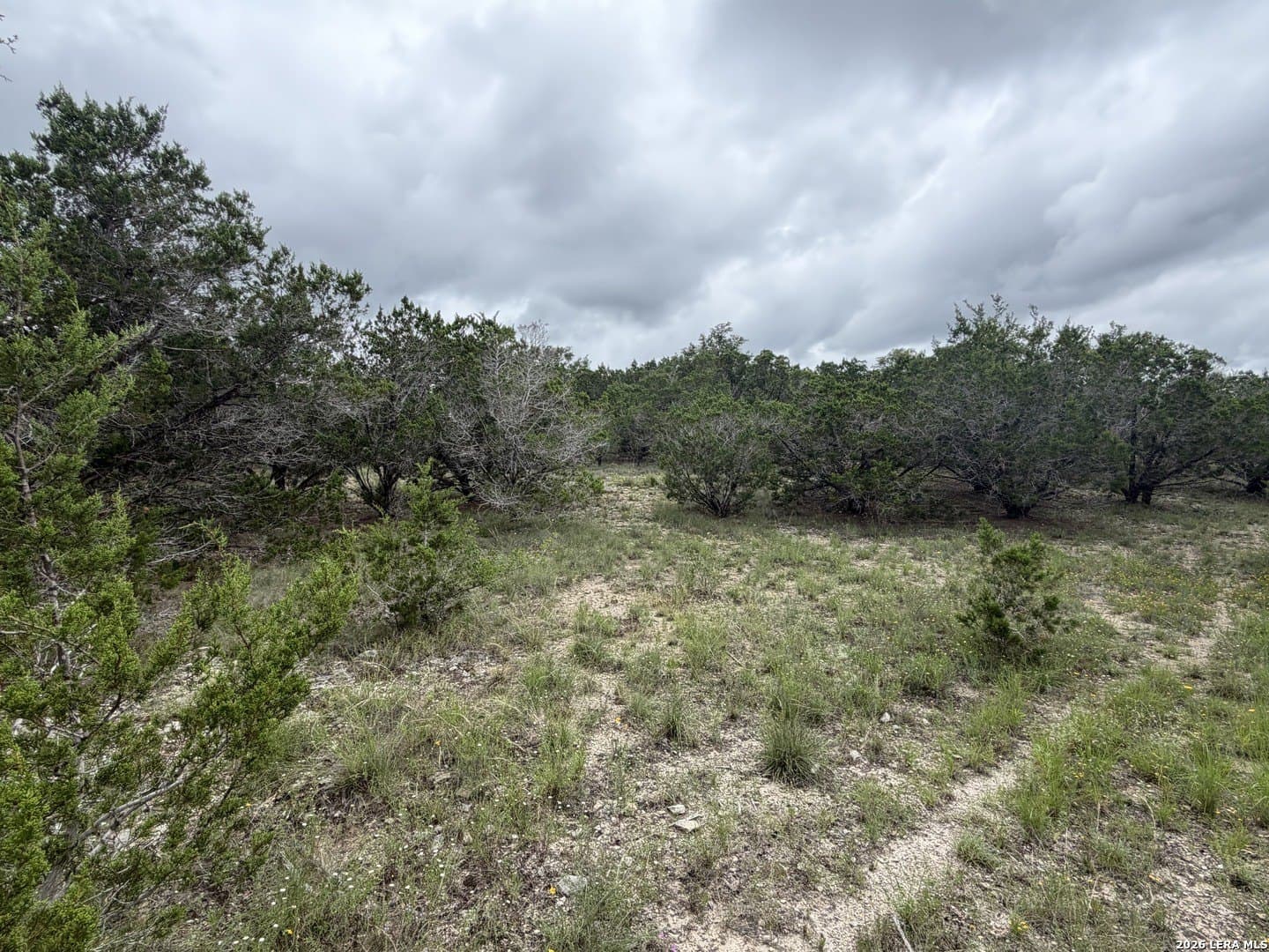 0.21 acres in Blanco County gallery image 3