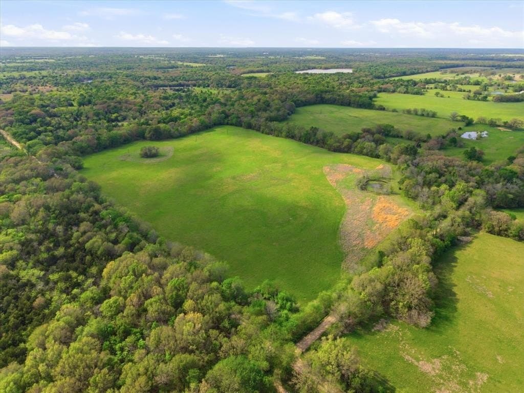 46.5 acres in Hopkins County gallery image 4