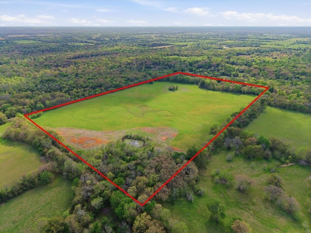 46.5 acres in Hopkins County gallery image 2