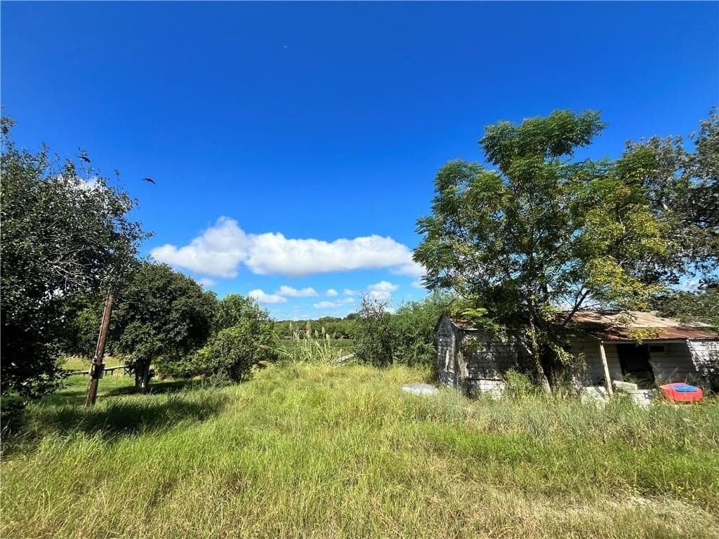 1.11 acres in Live Oak County gallery image 2
