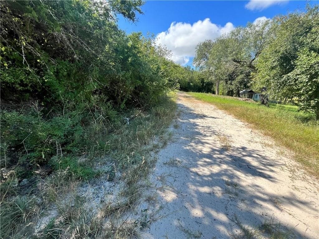 1.11 acres in Live Oak County gallery image 4
