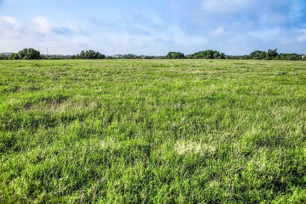 12.8 acres in Fayette County gallery image 4