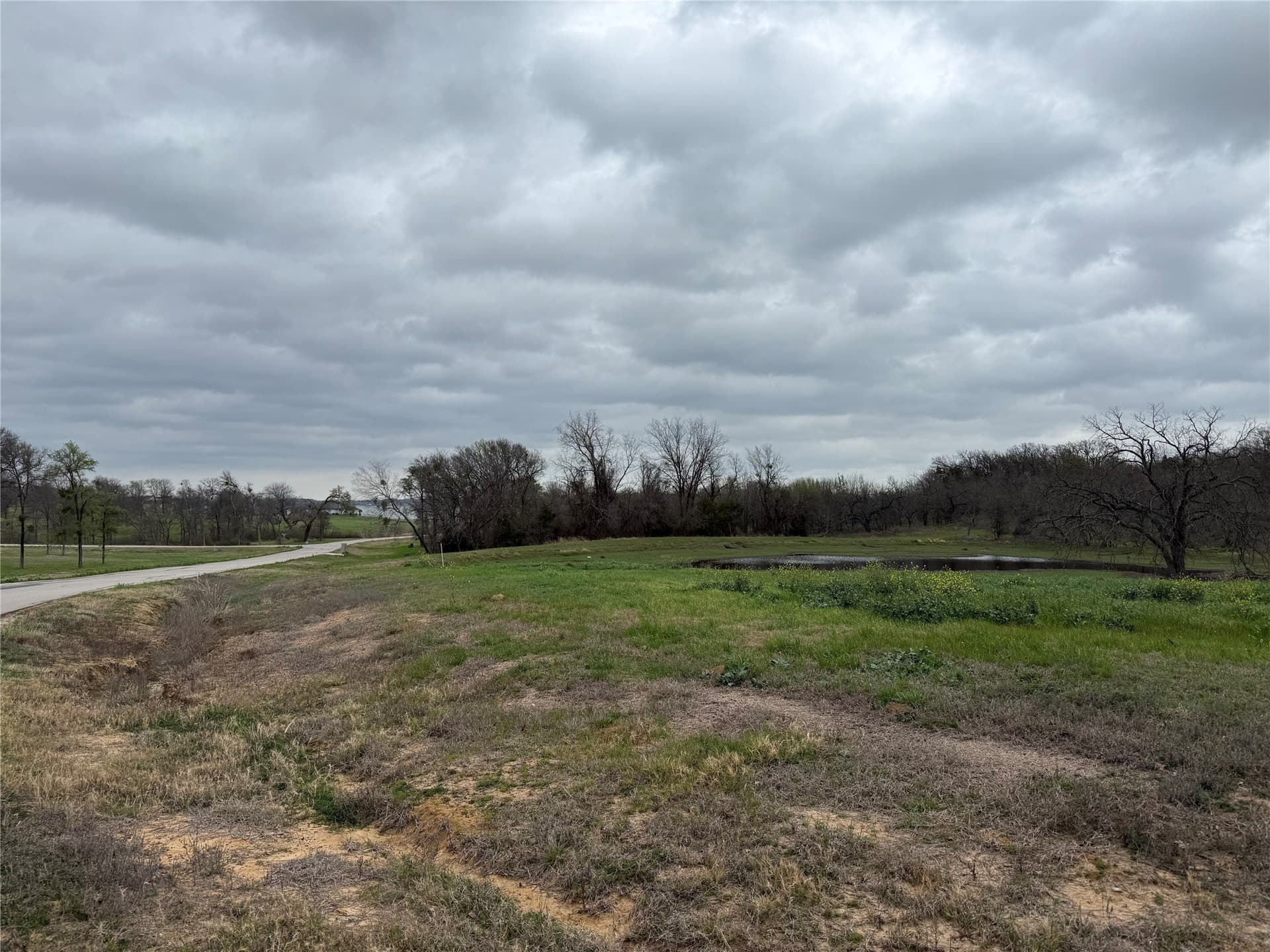 1.01 acres in Navarro County gallery image 3