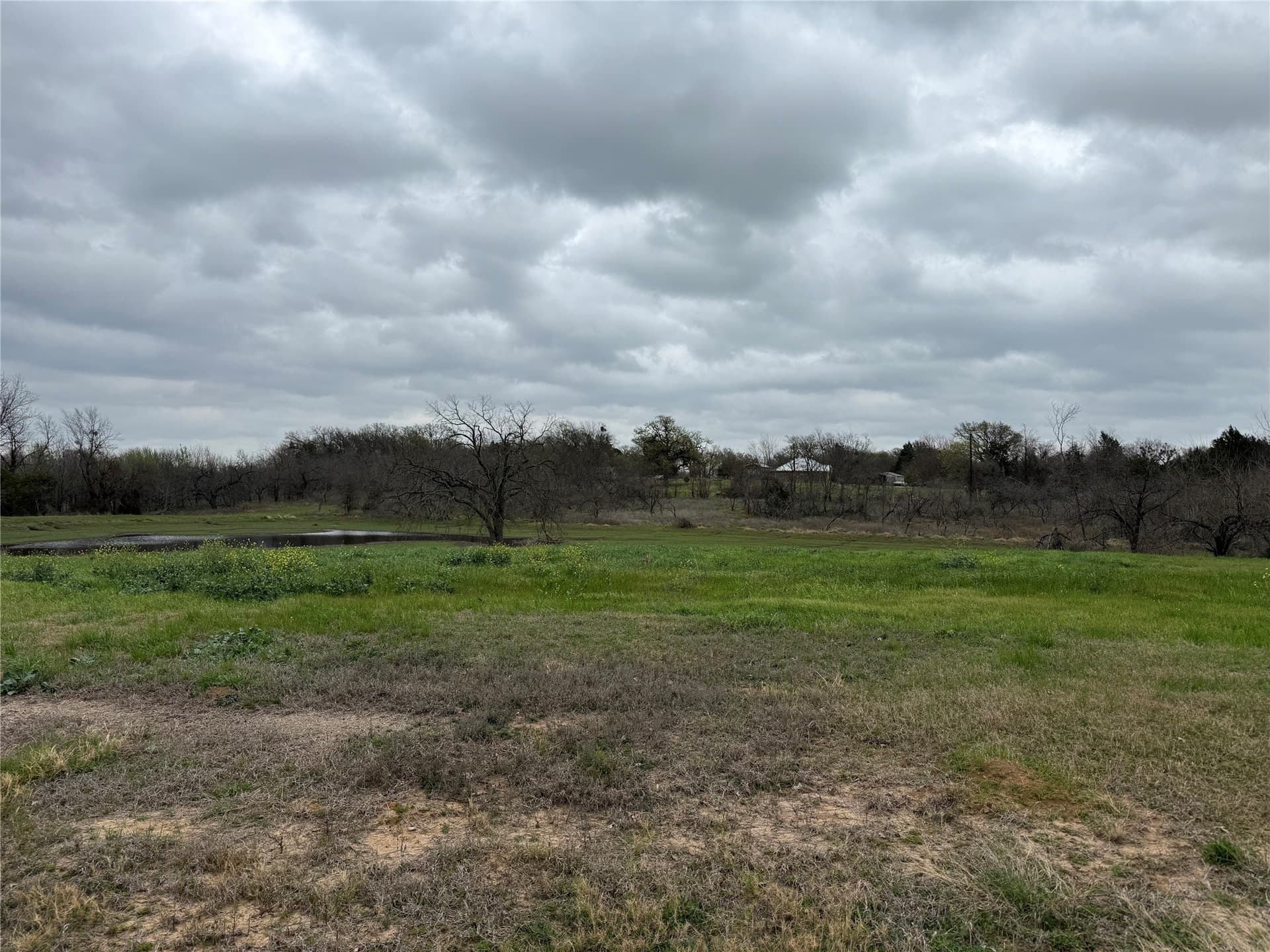 1.01 acres in Navarro County gallery image 4