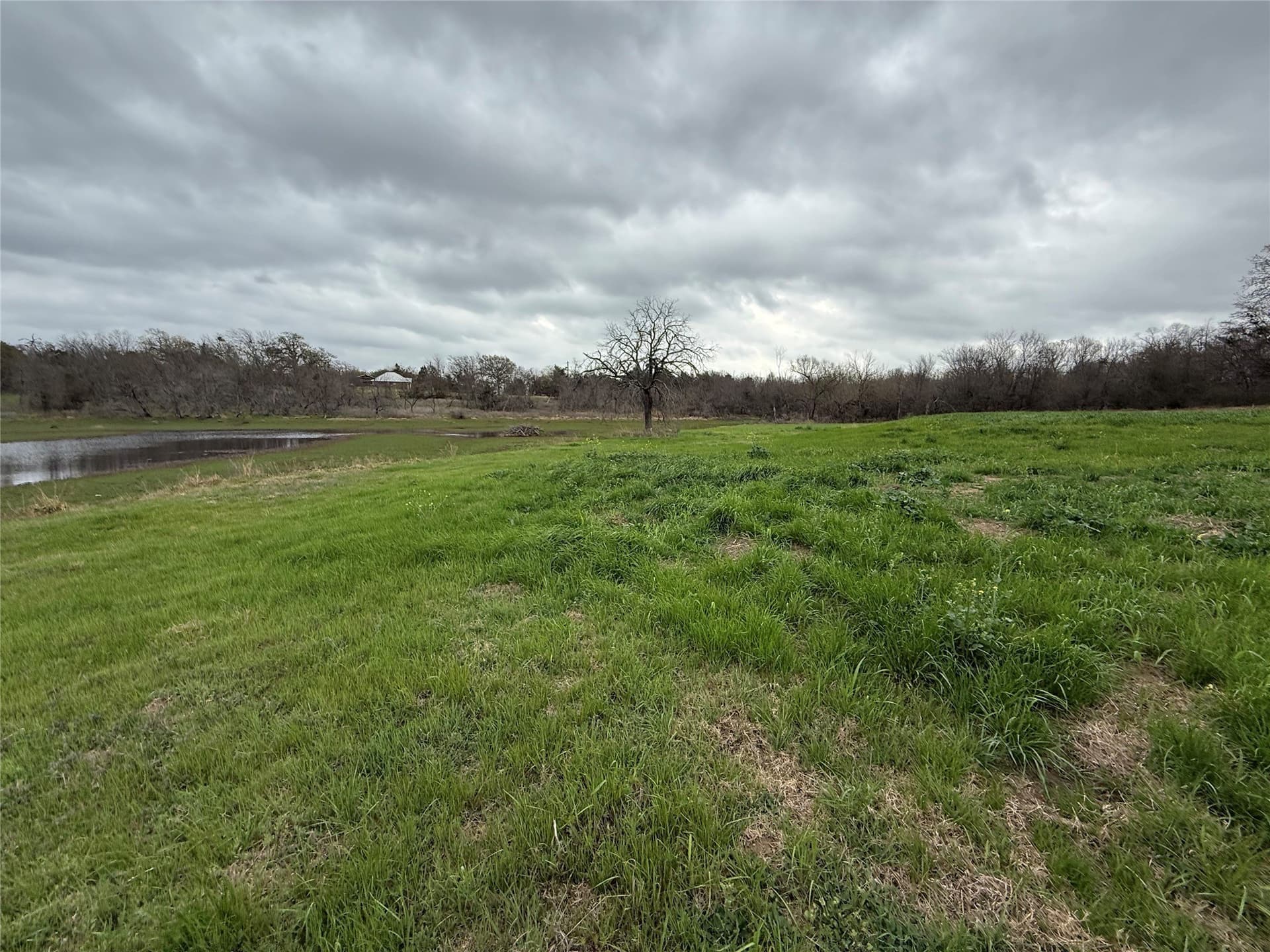 1.01 acres in Navarro County - photo 6