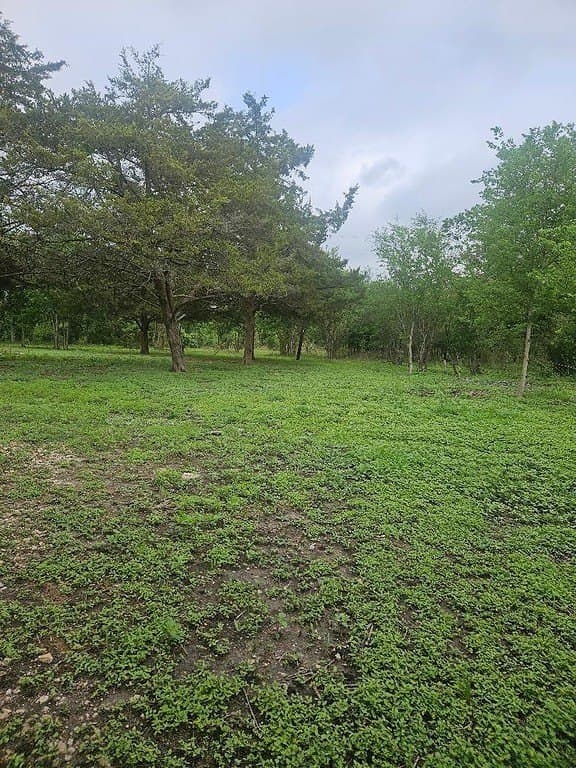 2.1 acres in Washington County gallery image 2