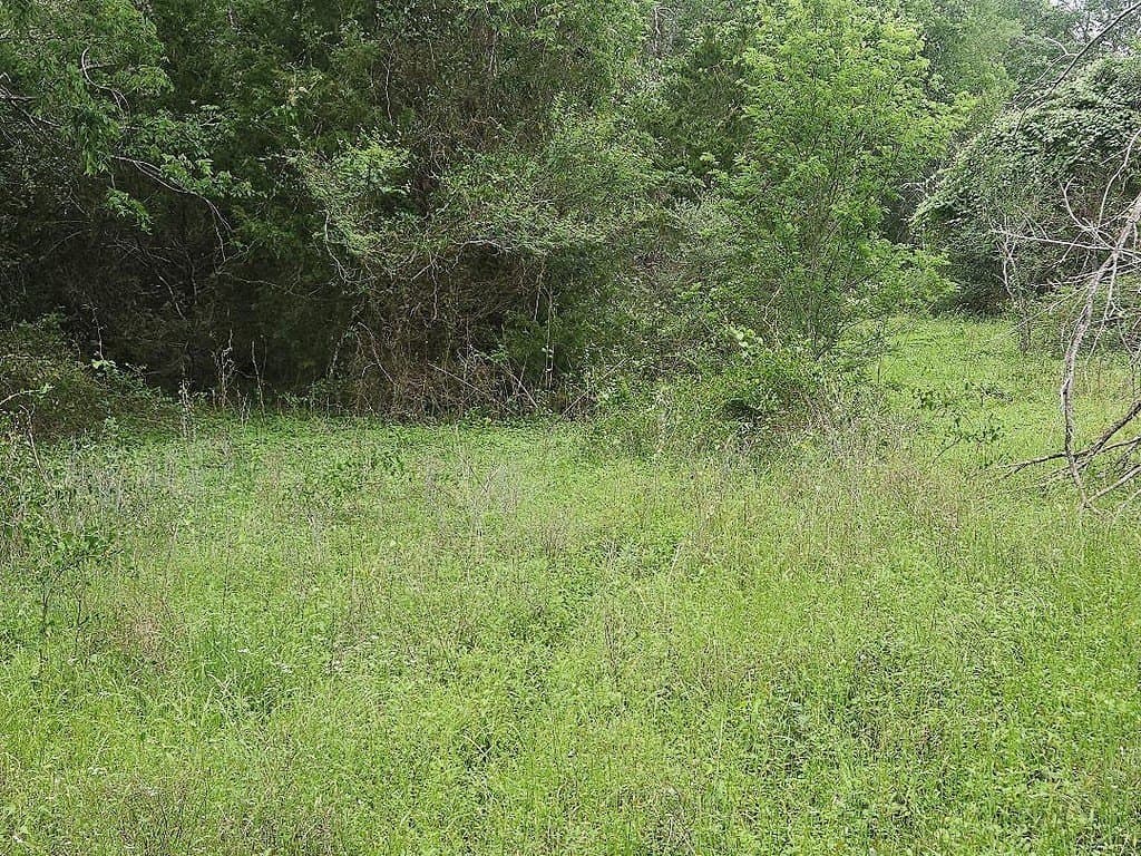 2.1 acres in Washington County gallery image 4