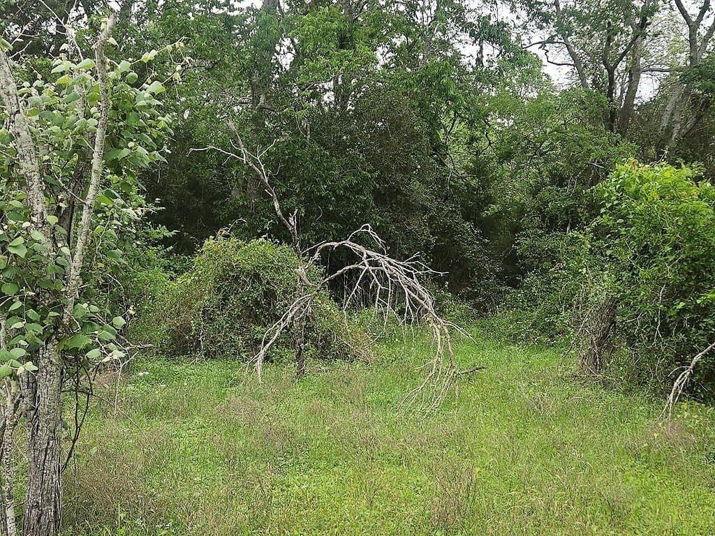 2.1 acres in Washington County featured view