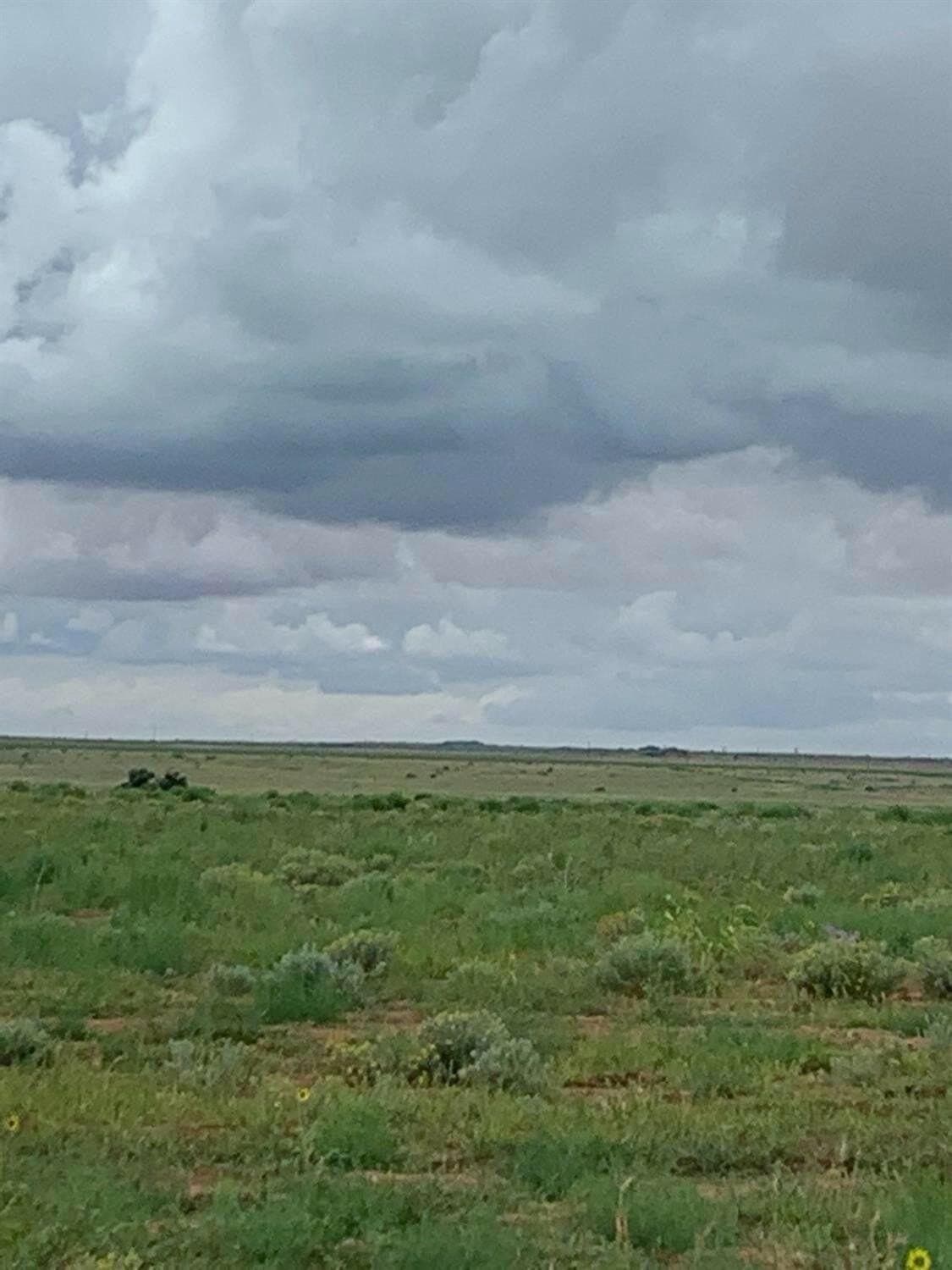 14 acres in Lynn County featured view