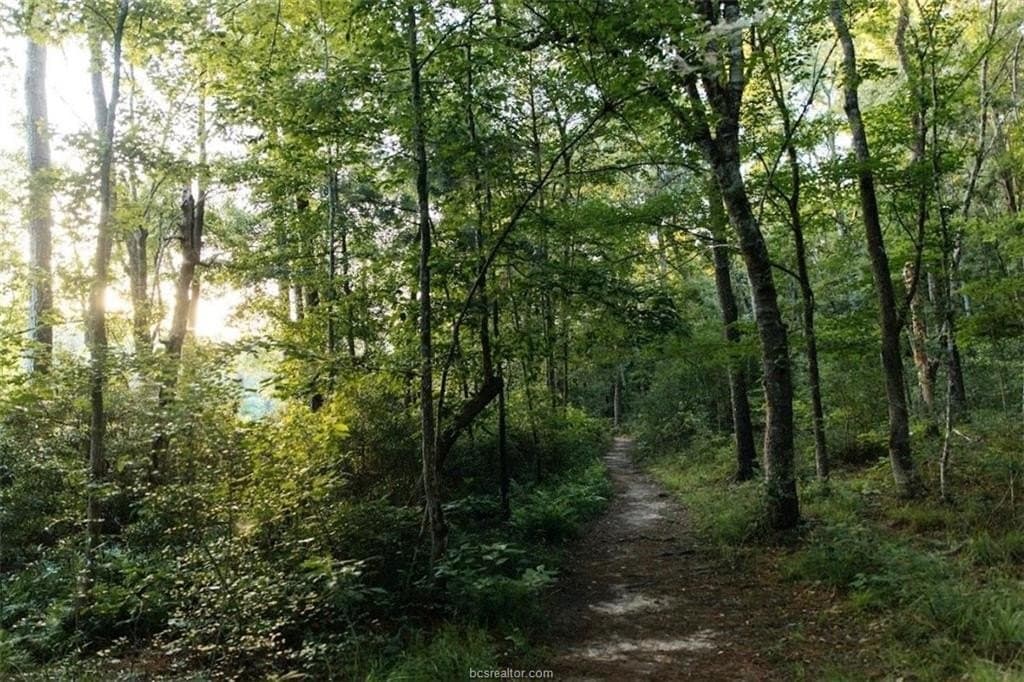 3.02 acres in Walker County - photo 20