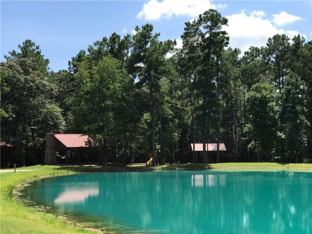 3.02 acres in Walker County - photo 16