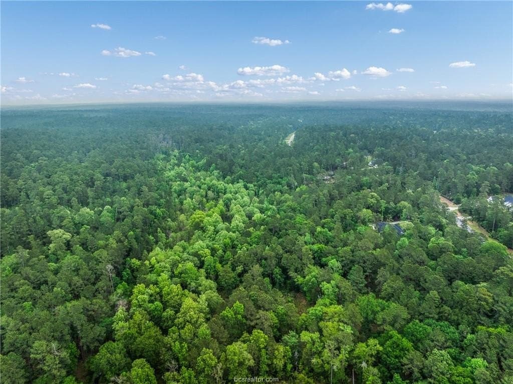 3.02 acres in Walker County - photo 12
