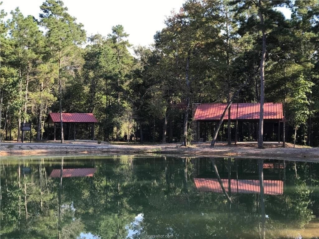 3.02 acres in Walker County - photo 17