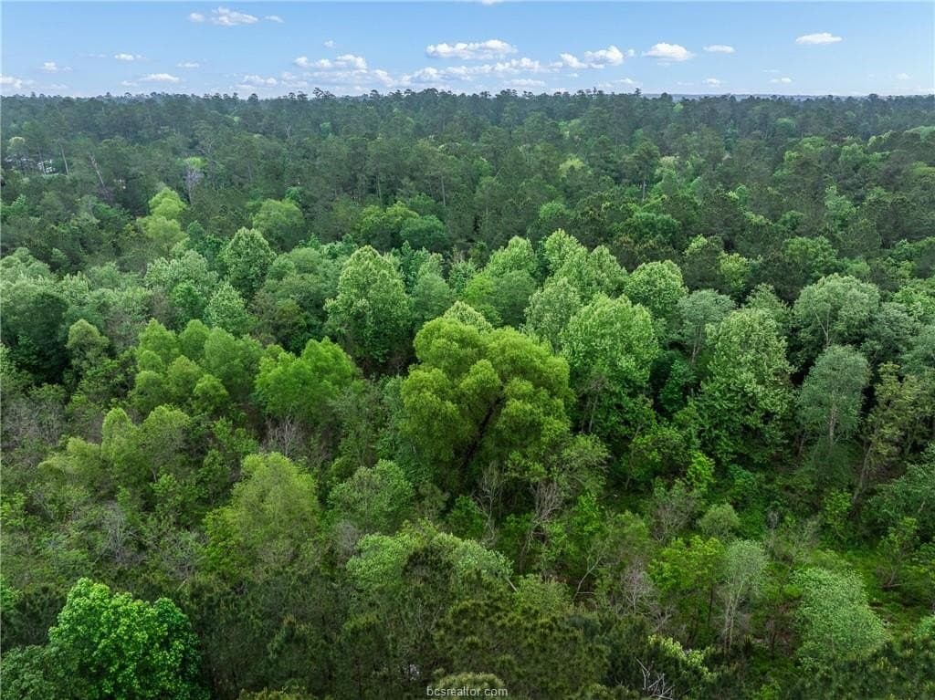 3.02 acres in Walker County - photo 15