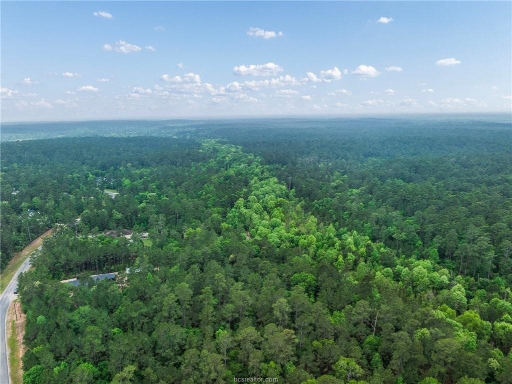 3.02 acres in Walker County - photo 9