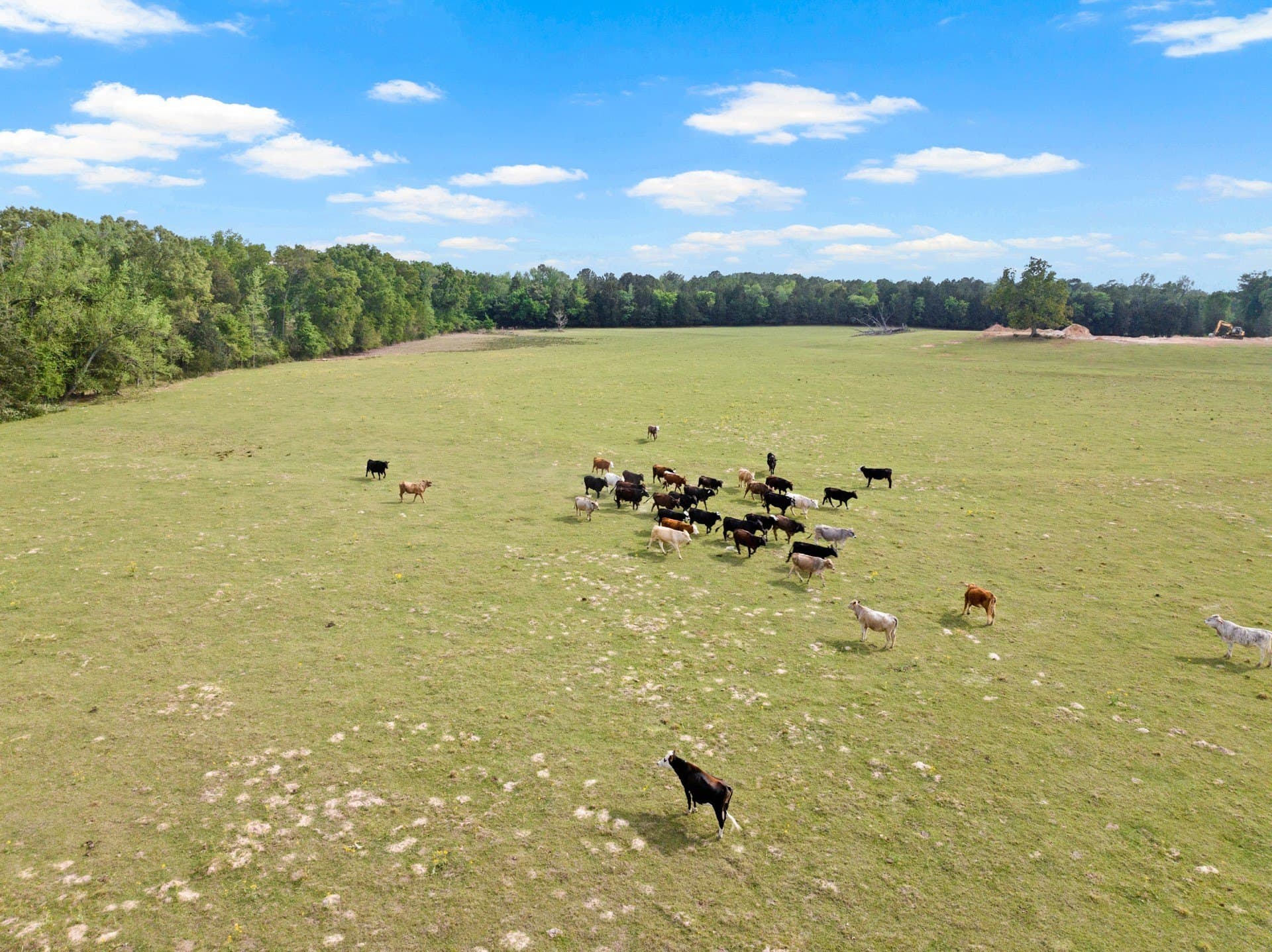 108.32 acres in Wood County - photo 36