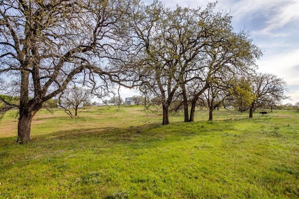 30.55 acres in Wise County gallery image 3