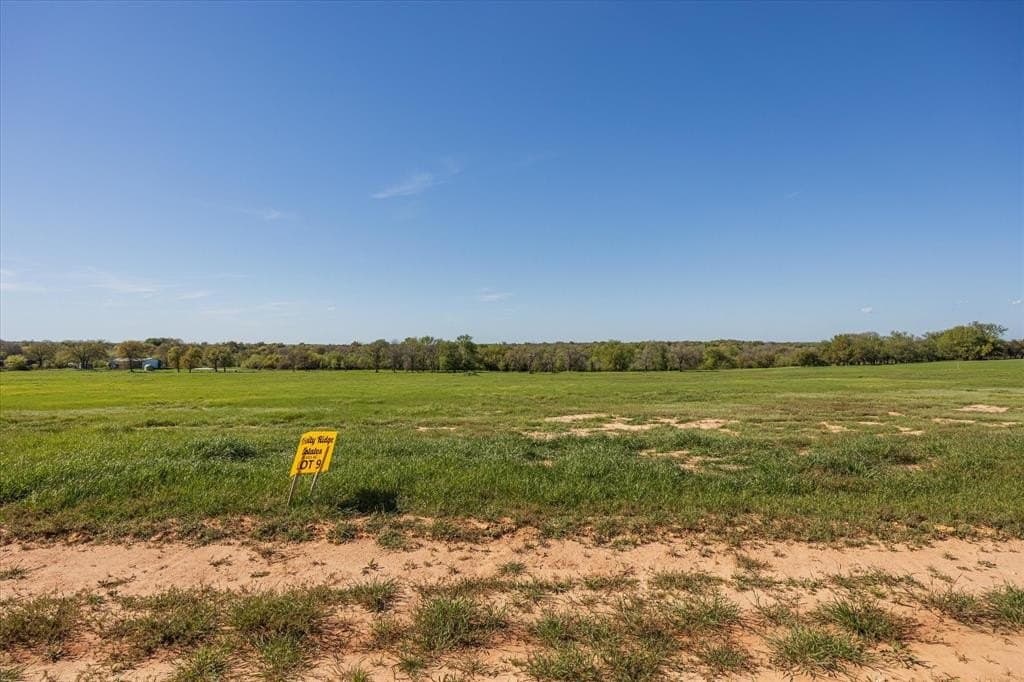 6.65 acres in Erath County gallery image 2
