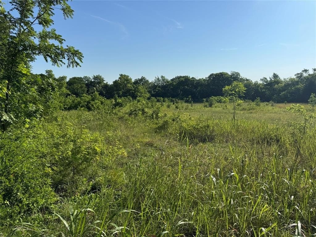 7.9 acres in Grayson County gallery image 2