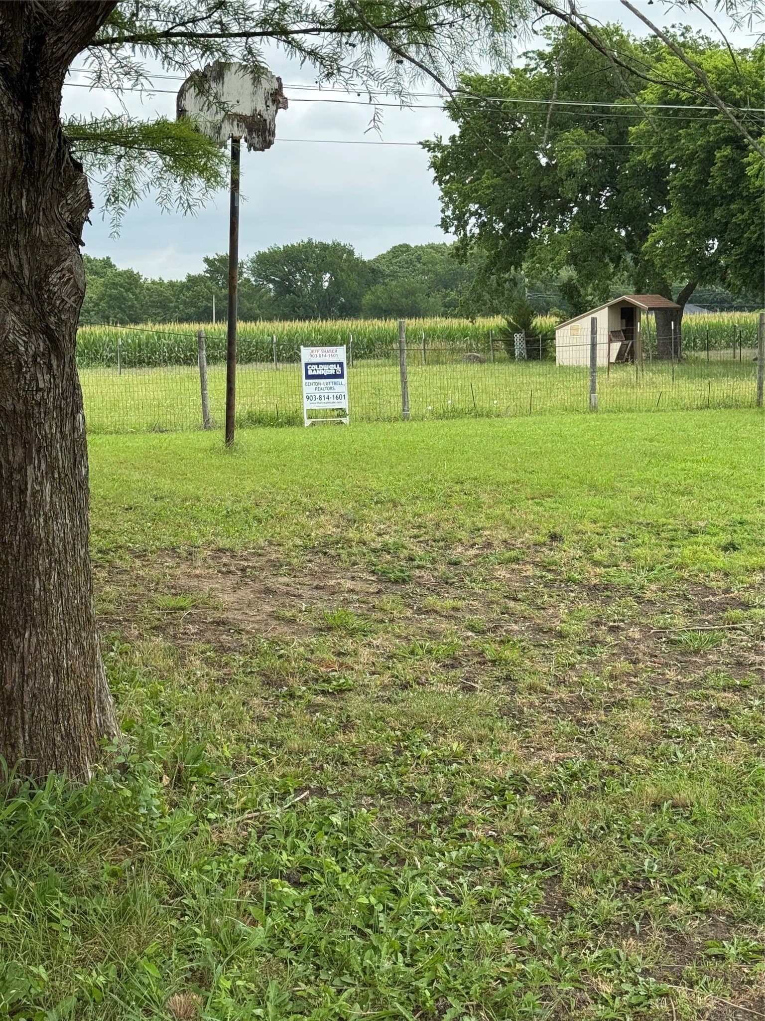 0.28 acres in Grayson County gallery image 2