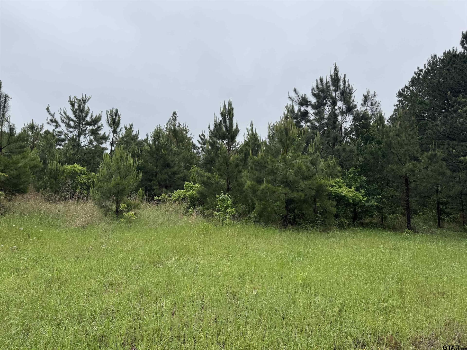 2.73 acres in Cass County