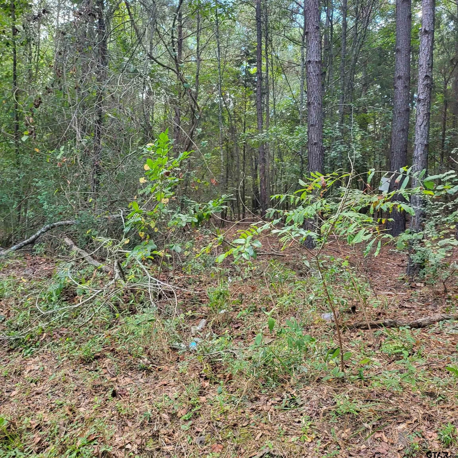 19.66 acres in Smith County