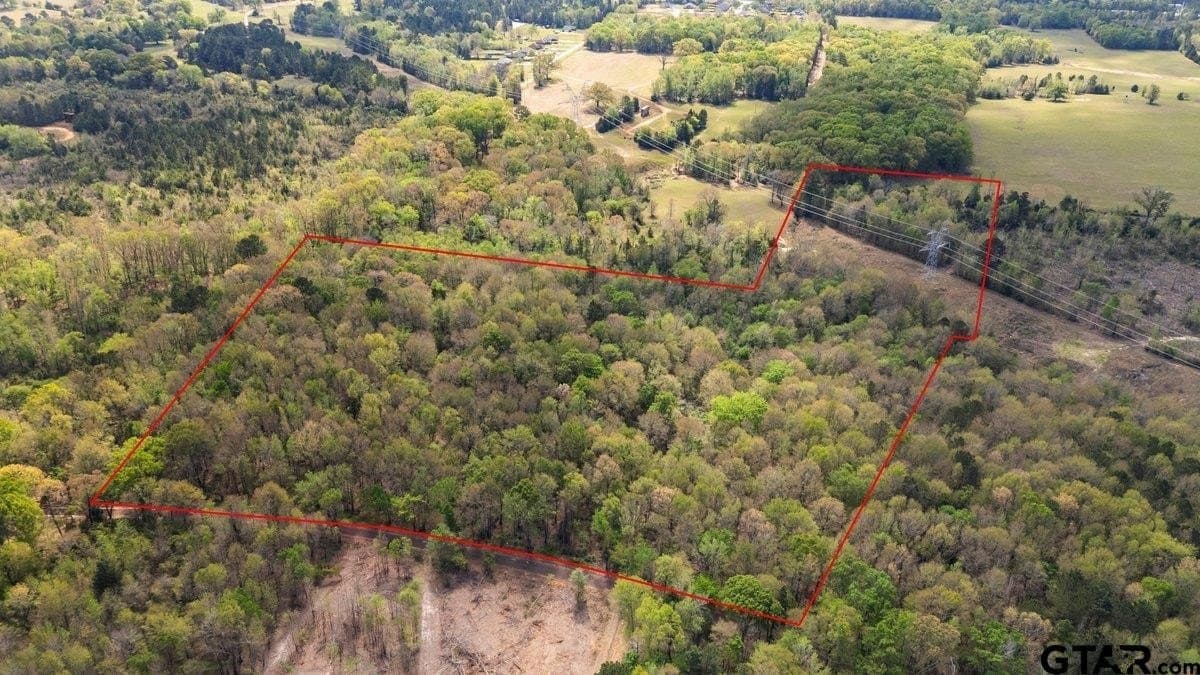 19.66 acres in Smith County gallery image 3