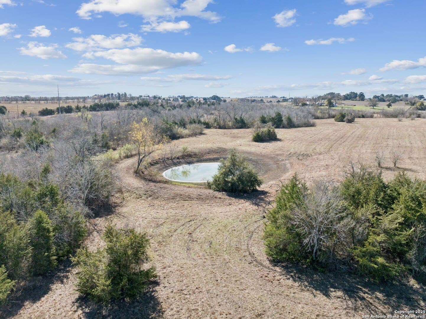 46.5 acres in Austin County - photo 21