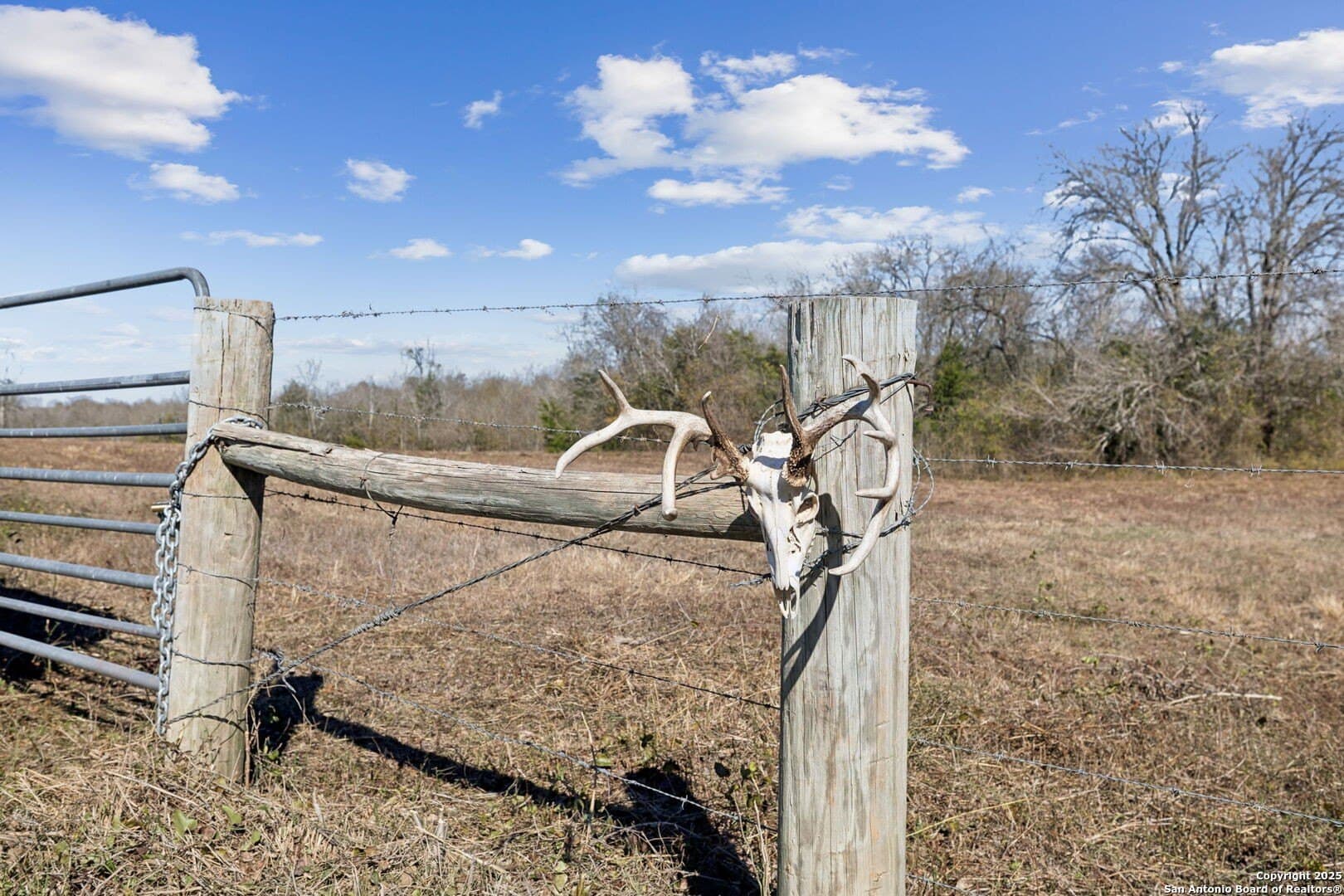 46.5 acres in Austin County - photo 3