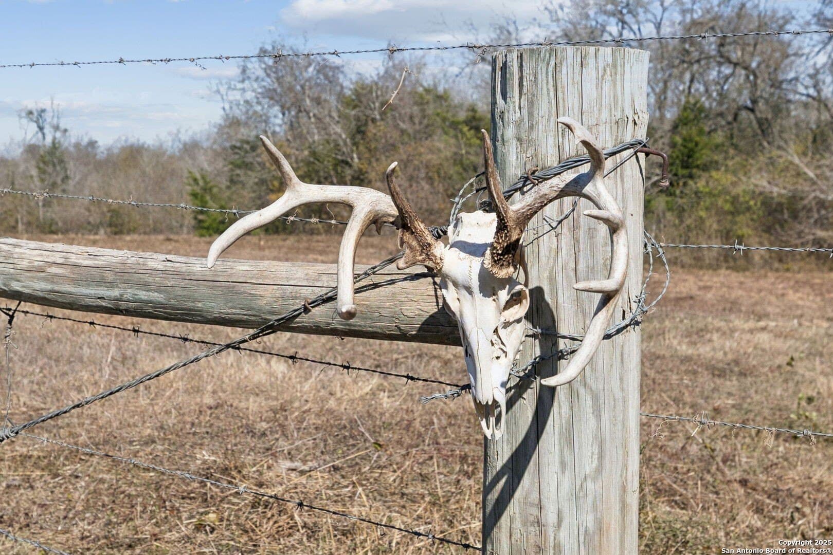 46.5 acres in Austin County - photo 27