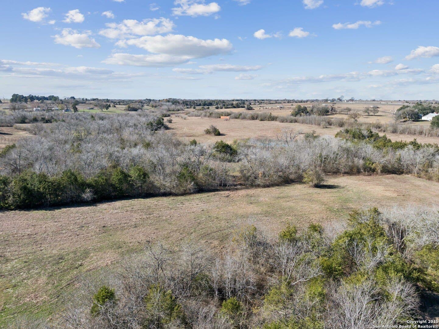 46.5 acres in Austin County - photo 19